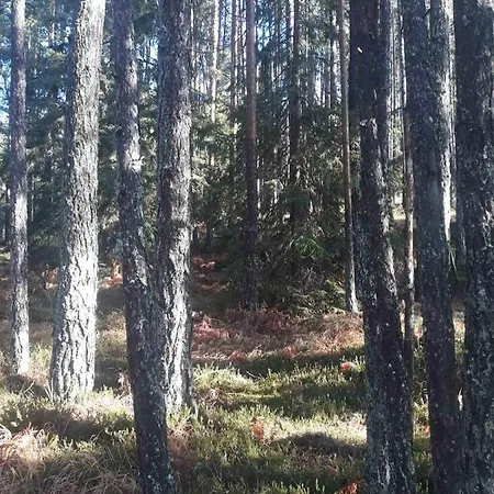 Gorski Raj Minimum 2 Nocenja *