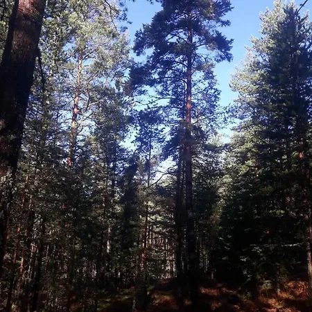 Lägenhet Gorski Raj Minimum 2 Nocenja Jevtici (Bajina Basta)