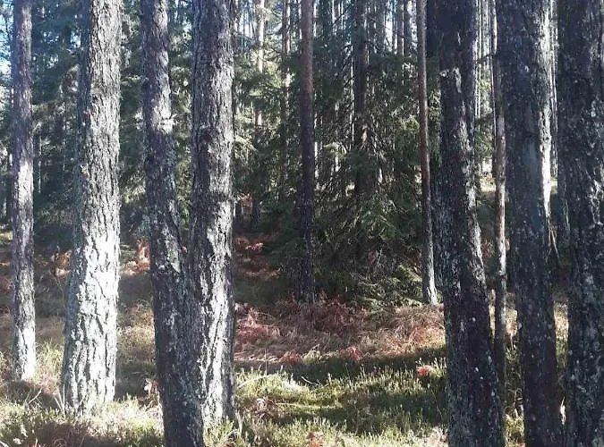 Gorski Raj Minimum 2 Nocenja *