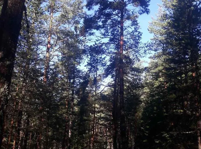 شقة Gorski Raj Minimum 2 Nocenja Jevtici (Bajina Basta)